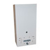 MAIN MULTIPOINT BALANCED FLUE WATER