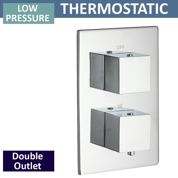 Nevada Twin Thermostatic Shower Valve with 2 Outlets (controls 2 functions, 1 at a time)