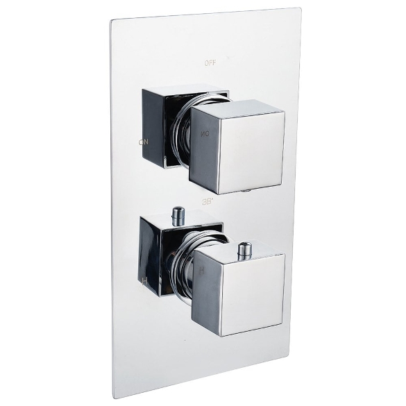Rainfall Shower Head & Valve