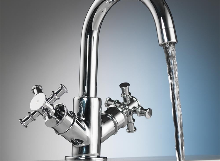Classic Nouveau Basin Mono