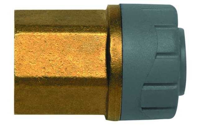 Polyplumb 22mm X 3/4" Female BSP Adaptor PB4422